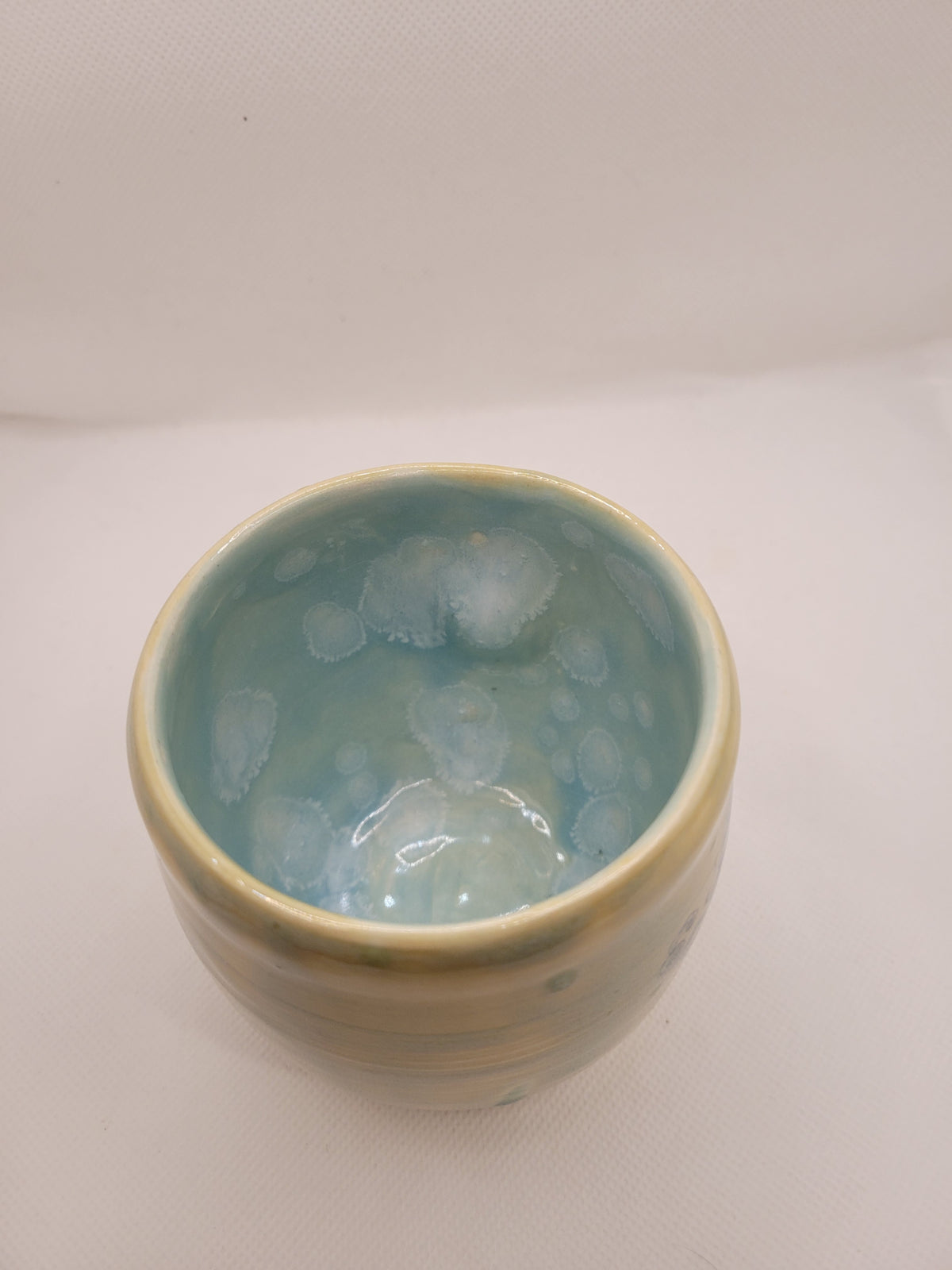 Dragons Cup