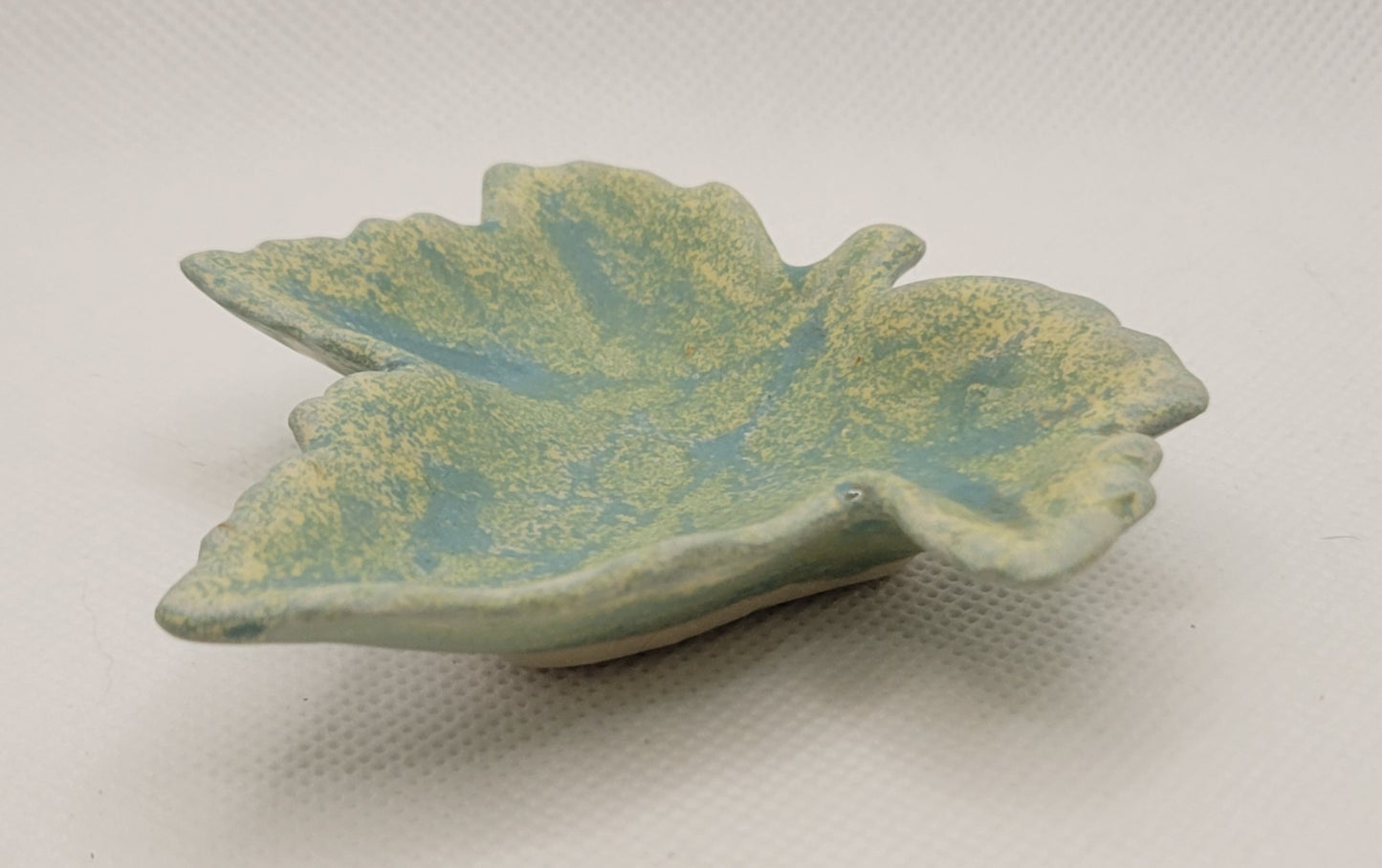 Sring's Leaf